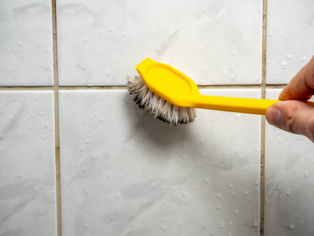 Las Lomas, CA Mold Removal Company