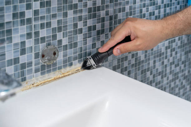Best Mold Testing  in Las Lomas, CA