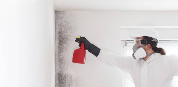 Water Damage Restoration in Las Lomas, CA