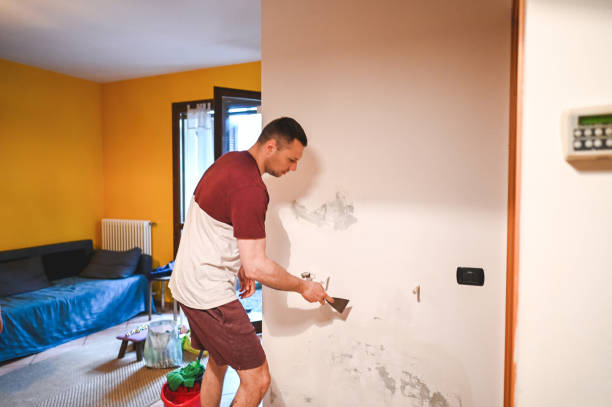 Best Commercial Mold Removal  in Las Lomas, CA